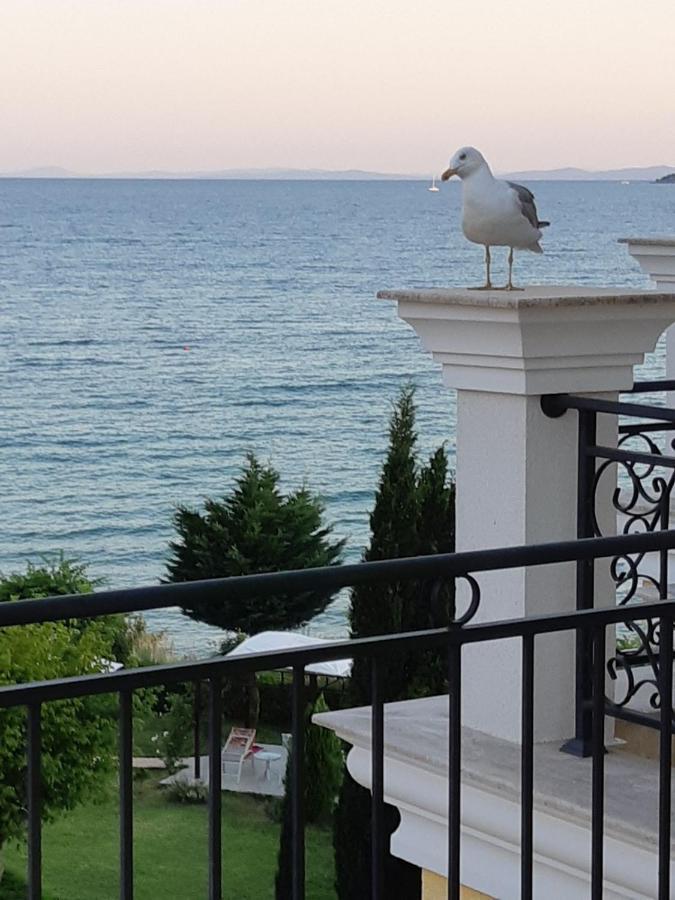 Horizon Katrina Apartments - Sea Line & Beach Access Sveti Vlas Exterior foto